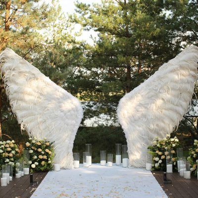 Свадебная арка из крыльев